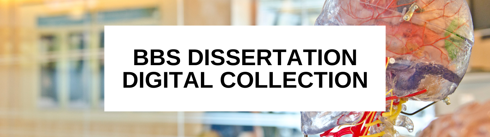 BBS Dissertation Digital Collection