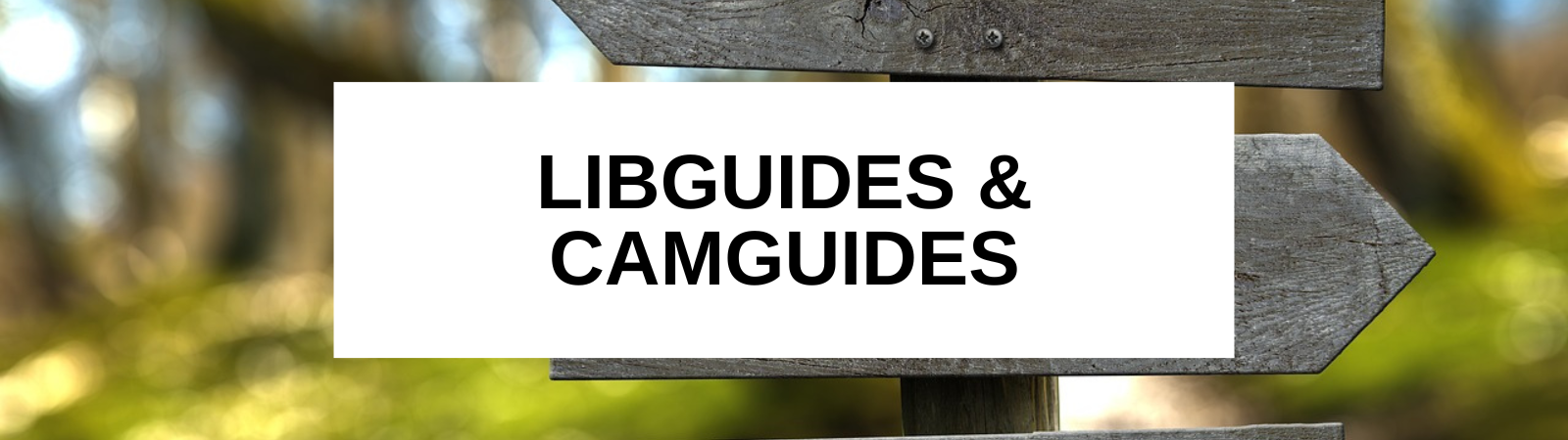 Banner image saying LibGuides & CamGuides, with a wooden signpost as the background image.