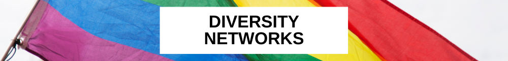 Diversity Networks banner