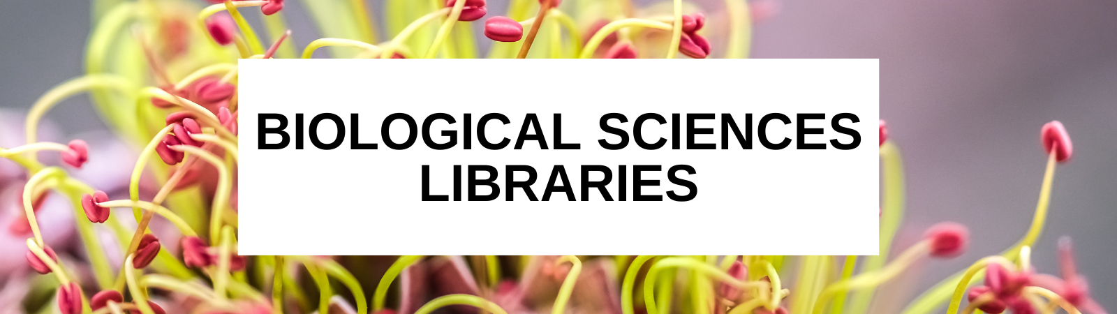 Biological Sciences Libraries