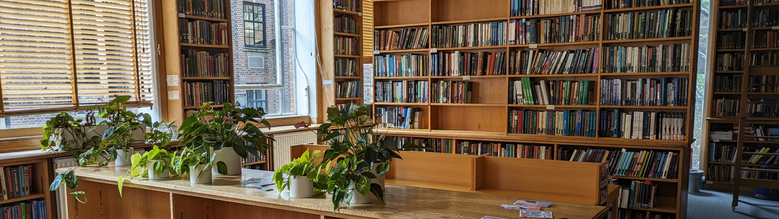 The Psychology Library space with wooden bookshelves, desks and potted plants.
