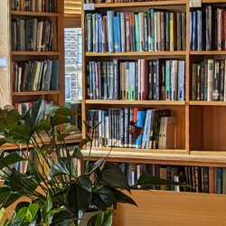 The Psychology Library space with wooden bookshelves, desks and potted plants.